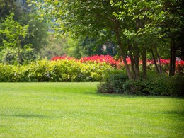 Pune News : पुण्यातील उद्याने रात्री 8 ऐवजी 9 वाजता बंद होणार? काय आहे कारण?