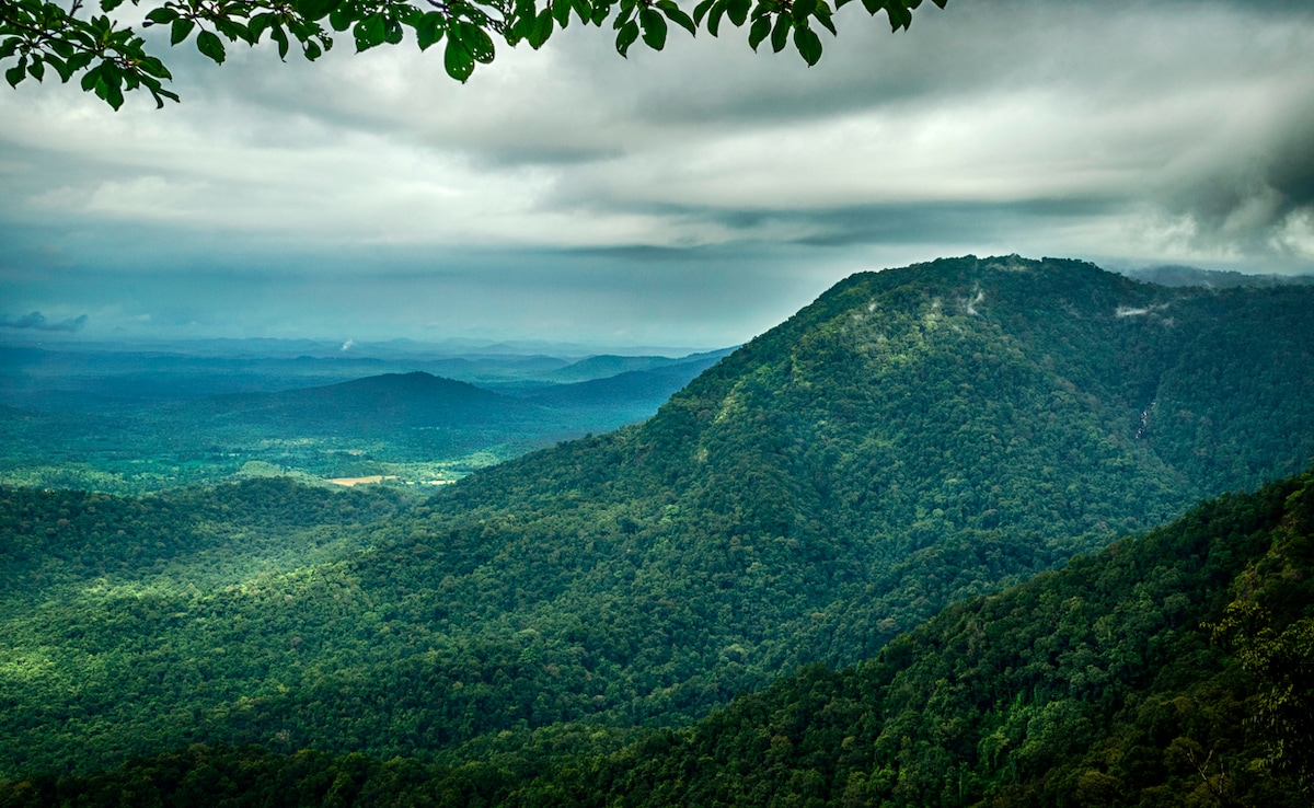 Agumbe. Photo: iStock Agumbe. Photo: iStock