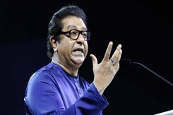 "We Need To Learn From Southern States": Raj Thackeray On Language Row "We Need To Learn From Southern States": Raj Thackeray On Language Row
