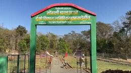 No Mobile Network: फोन कॉल के लिए जाना पड़ता है एक किमी दूर! इस गांव के लोगों को कब मिलेगी 'कनेक्टिविटी'
