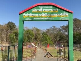 No Mobile Network: फोन कॉल के लिए जाना पड़ता है एक किमी दूर! इस गांव के लोगों को कब मिलेगी 'कनेक्टिविटी'