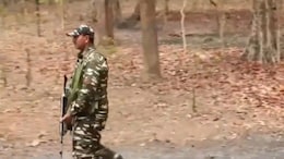 गरियाबंद में बड़ा एनकाउंटर, 1 करोड़ का इनामी नक्सली बालाकृष्ण और पांडु ढेर; जगंलों में जारी है गोलियों की गूंज