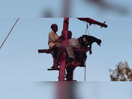 अनूठी परंपरा! इस गांव में वीरता परखने के लिए मारे जाते हैं कोड़े, बकरों को हवा में घुमाने की भी होती है रस्म अनूठी परंपरा! इस गांव में वीरता परखने के लिए मारे जाते हैं कोड़े, बकरों को हवा में घुमाने की भी होती है रस्म