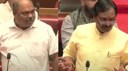 Anil Parab News: मनिषा कायंदेंचे 'ते' ट्वीट, सरड्याची उपमा देत अनिल परबांचा रौद्रावतार, सभागृहात अभूतपूर्व घमासान