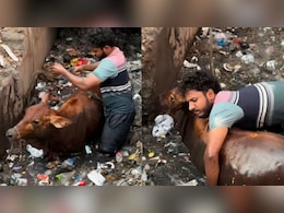 जान की बाजी लगाकर बंदे ने नाले में फंसी गाय को निकाला बाहर, वीडियो देख छूटे लोगों के पसीने, बोले- सलाम है आपको जान की बाजी लगाकर बंदे ने नाले में फंसी गाय को निकाला बाहर, वीडियो देख छूटे लोगों के पसीने, बोले- सलाम है आपको