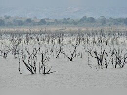 Rajasthan: राजस्थान के करौली में जल योद्धाओं ने 8 हजार हैक्टेयर बंजर भूमि को बनाया 13 साल में उपजाऊ Rajasthan: राजस्थान के करौली में जल योद्धाओं ने 8 हजार हैक्टेयर बंजर भूमि को बनाया 13 साल में उपजाऊ