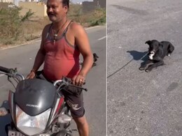 बाइक में कुत्ते को चेन से बांधकर घसीट रहा था शख्स, रास्ते से जा रही महिला ने देखते ही जो किया, लोग कर रहे तारीफ