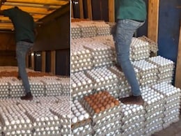 अंडों से भरी ट्रे पर आराम से चलता दिखा शख्स, नहीं टूटा एक भी अंडा, देखकर लोग हैरान, पूछा- कोई चमत्कार है या विज्ञान