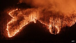 Wildfire Smoke Can Harm Your Brain, Not Just Your Lungs