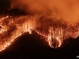 Wildfire Smoke Can Harm Your Brain, Not Just Your Lungs Wildfire Smoke Can Harm Your Brain, Not Just Your Lungs