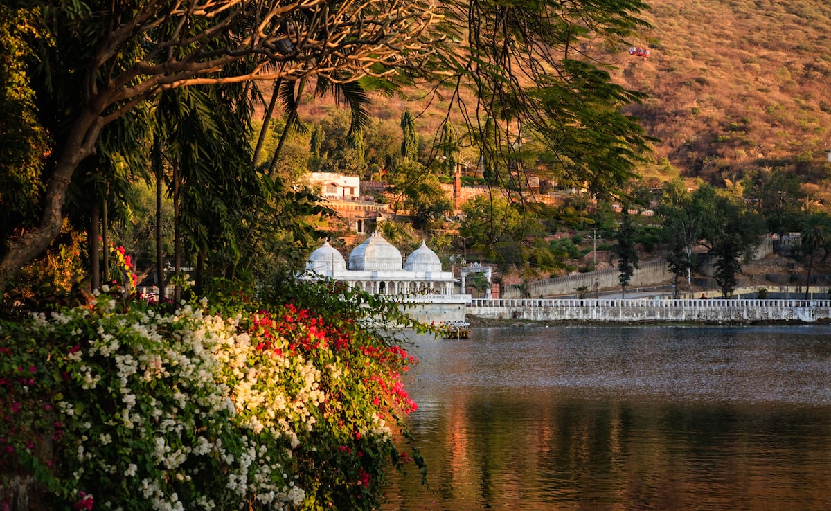 Doodh Talai. Photo: iStock Doodh Talai. Photo: iStock