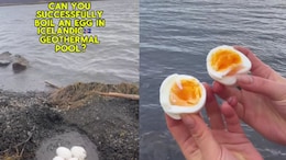 Watch: Travel Vlogger Uses Iceland's Geothermal Pool To Boil Eggs, Leaves Internet Impressed