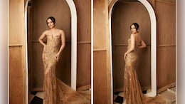 Manushi Chhillar Looks Like A Million Bucks In A Glitzy Rahul Mishra Gown