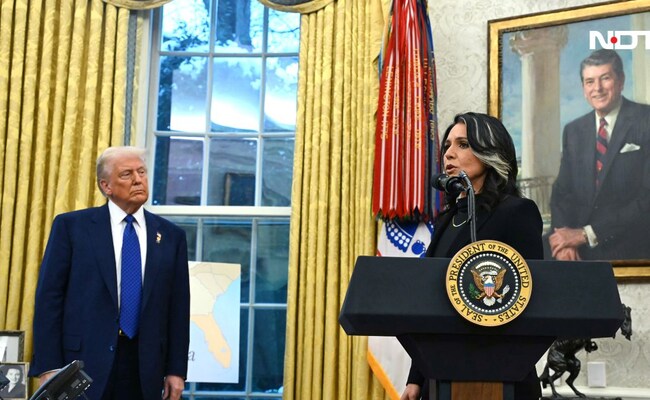'Unshakable Proof': Intelligence Chief Gabbard On Trump-Russia Probe