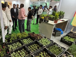भारत अंतरराष्ट्रीय बागवानी एक्सपो में 3 दिन में हुआ 50 करोड़ का बिजनेस, फूल-पौधों की वैरायटी देख खिले लोगों के चेहरे भारत अंतरराष्ट्रीय बागवानी एक्सपो में 3 दिन में हुआ 50 करोड़ का बिजनेस, फूल-पौधों की वैरायटी देख खिले लोगों के चेहरे
