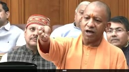 Maharana Pratap, Shivaji Our Heroes Not Akbar Or Aurangzeb: Yogi Adityanath
