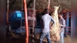 Rajasthan: च&zwj;ित्&zwj;तौड़गढ़ के इस गांव में आसुरी शक्&zwj;त&zwj;ियों का साया! अब ग्रामीणों ने लिया ये फैसला&nbsp;