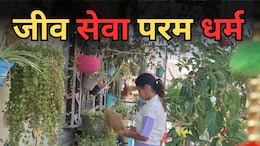 Bird House: घर के अंदर बनाए 50 से ज्यादा घोंसले, युवती ने बेजुबानों को बनाया अपना फैमली मेंबर