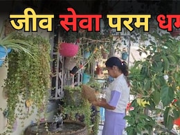 Bird House: घर के अंदर बनाए 50 से ज्यादा घोंसले, युवती ने बेजुबानों को बनाया अपना फैमली मेंबर