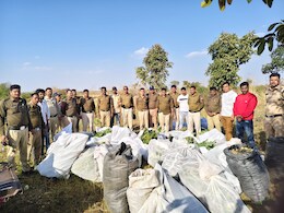 सरसों की फसल के बीच उगा रखा था अफीम और गांजा, पुलिस ने छापा मार बरामद किया भारी मात्रा में मादक पदार्थ सरसों की फसल के बीच उगा रखा था अफीम और गांजा, पुलिस ने छापा मार बरामद किया भारी मात्रा में मादक पदार्थ