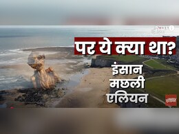 एलियन... समुद्री राक्षस... एक्वामैन? यूके के बीच पर ये कैसा रहस्यमयी जीव? एलियन... समुद्री राक्षस... एक्वामैन? यूके के बीच पर ये कैसा रहस्यमयी जीव?