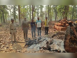 Gariaband: जंगल में मिले अधजले शव के टुकड़े, टूटी चूड़ियां भी मिलीं, जांच में होंगे कई बड़े खुलासे  Gariaband: जंगल में मिले अधजले शव के टुकड़े, टूटी चूड़ियां भी मिलीं, जांच में होंगे कई बड़े खुलासे