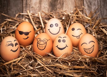What Your Preferred Style Of Eggs Say About Your Personality What Your Preferred Style Of Eggs Say About Your Personality