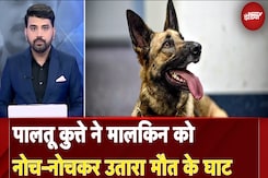 Kanpur Dog Attack: पालतू कुत्ते ने किया मालकिन को नोच-नोचकर उतारा मौत के घाट | News@8 Kanpur Dog Attack: पालतू कुत्ते ने किया मालकिन को नोच-नोचकर उतारा मौत के घाट | News@8