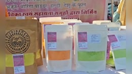 Happy Holi: चुकंदर, हल्दी, मोरिंगा की पत्तियों से महिलाओं ने तैयार किया हर्बल कलर, विदेशों तक है डिमांड