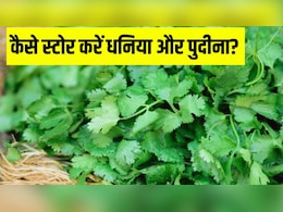 1 महीने तक नहीं गलेगा धनिया और पुदीना, बस जान लें स्टोर करने का सही तरीका 1 महीने तक नहीं गलेगा धनिया और पुदीना, बस जान लें स्टोर करने का सही तरीका