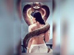 क्या एकता कपूर को मिली नई नागिन? ये हैं लीड एक्ट्रेस ?