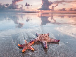 7 Most Stunning Beaches In Southeast Asia