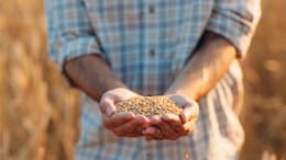 Syria Gets Its First Wheat Shipment Since Bashar Al-Assad's Ouster