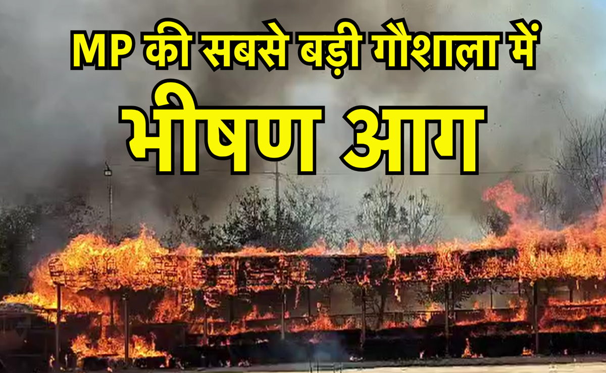 MP की सबसे बड़ी गौशाला में भीषण आग, 10 हजार से ज्यादा गौवंश मौजूद, आग बुझाने का काम जारी