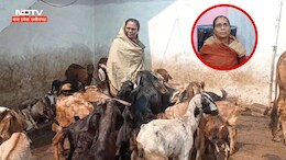 बकरी चराने से लेकर करोड़पति तक का सफर, छत्तीसगढ़ की इस महिला ने कैसे बदली तकदीर ?
