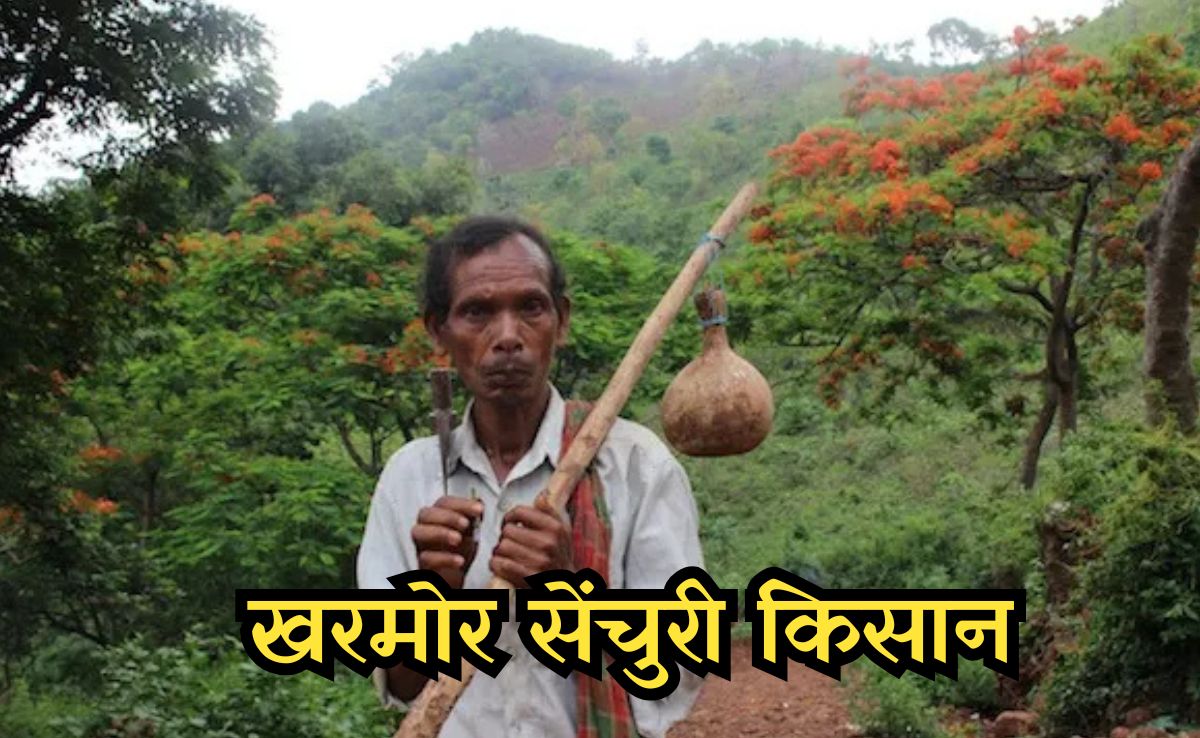 खरमोर अभयारण्य में आदिवासी किसानों के साथ कौन कर रहा सौतेला व्यवहार, जानिए पूरा मामला