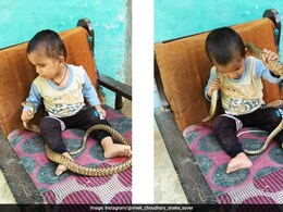 "पागल हो क्या?" - खतरनाक सांप के साथ खेलते बच्चे का वीडियो देख यूज़र हुए नाराज़ - Viral video
