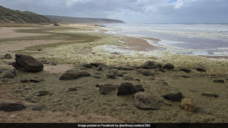 British Surfer And Friend Who Tried To Rescue Him Drown In Melbourne Storm