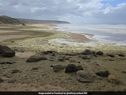 British Surfer And Friend Who Tried To Rescue Him Drown In Melbourne Storm British Surfer And Friend Who Tried To Rescue Him Drown In Melbourne Storm