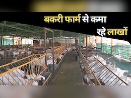 Goat farming: बीई-बीटेक की डिग्री छोड़ गांव में लगाया बकरी पालन फार्म, सालाना कमा रहे 1500000 रुपये से ज्यादा