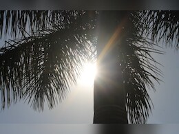 राजस्थान में गर्मी दिखा रही तेवर, बाड़मेर में तापमान पहुंचा 40 डिग्री सेल्सियस के पार, IMD ने जारी किया अनुमान 