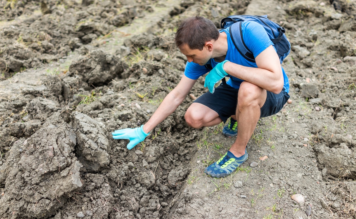 Latest and Breaking News on NDTV Latest and Breaking News on NDTV