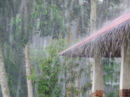 Rain Forecast : राज्यात अवकाळी पावसाची शक्यता; या 10 जिल्ह्यांना पावसाचा यलो अलर्ट