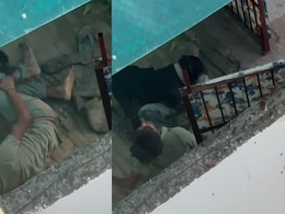 Pitbull Attacks Dog Shelter Worker In Noida, Leaves Him Hospitalised