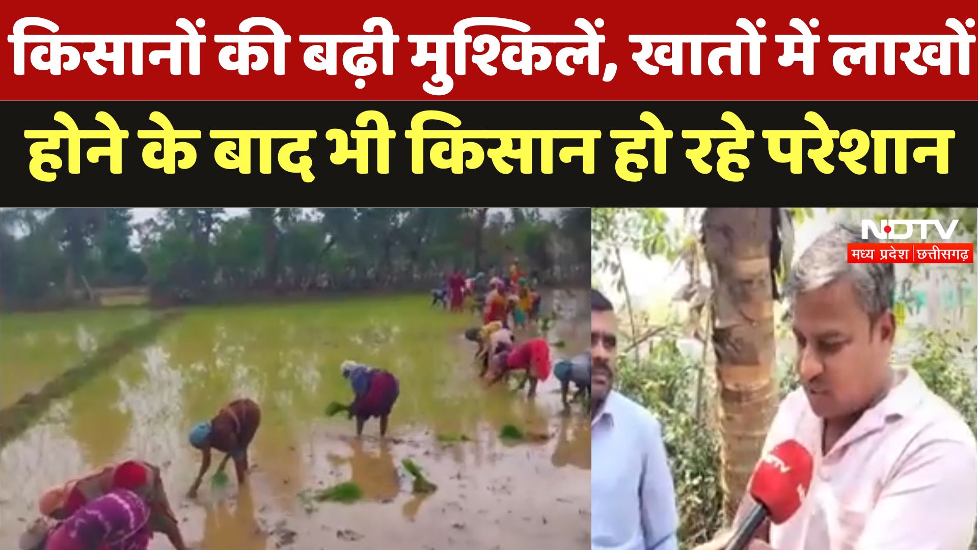 Bilaspur Farmers की बढ़ी मुश्किलें, Accounts में लाखों होने के बाद भी पैसे लेने में हो रही परेशानी