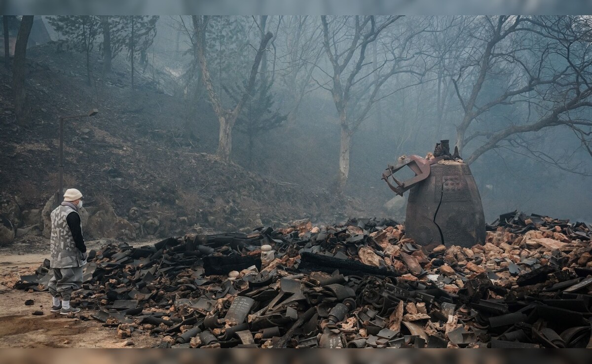 Latest and Breaking News on NDTV Latest and Breaking News on NDTV