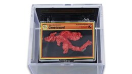 This One-Of-A-Kind Pokemon Cheeto Sold For A Record-Breaking Rs 77 Lakhs