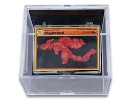 This One-Of-A-Kind Pokemon Cheeto Sold For A Record-Breaking Rs 77 Lakhs