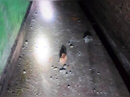 चोर-चोर... चोर का झूठा शोर.. नालंदा में एक बार फिर पुलिस पर हमला, कई पुलिसकर्मी घायल चोर-चोर... चोर का झूठा शोर.. नालंदा में एक बार फिर पुलिस पर हमला, कई पुलिसकर्मी घायल