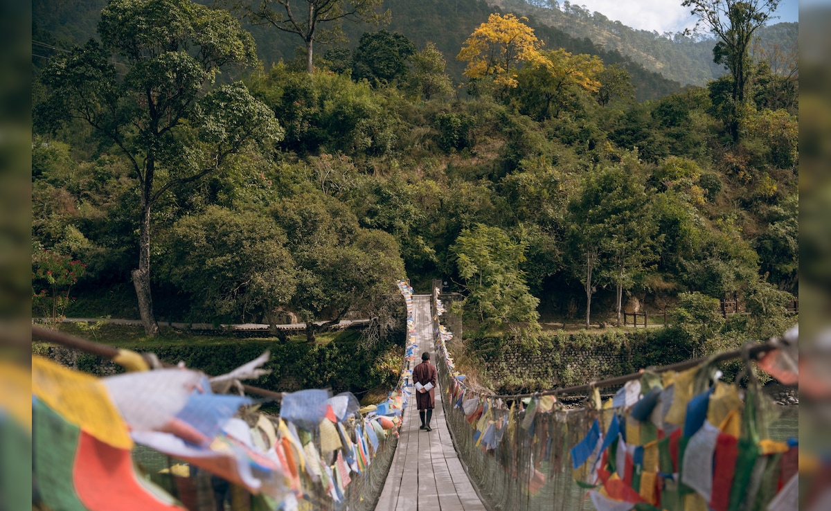 Latest and Breaking News on NDTV Latest and Breaking News on NDTV